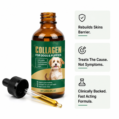 Premium Liquid Collagen for Dachshunds