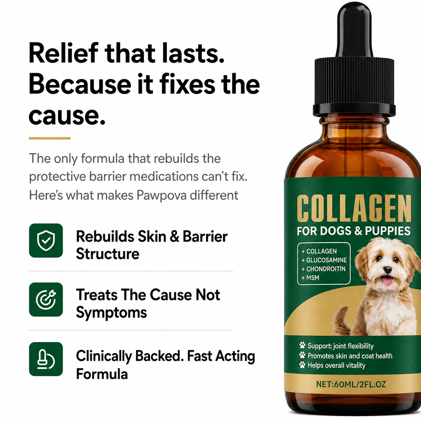 Premium Liquid Collagen for Dachshunds