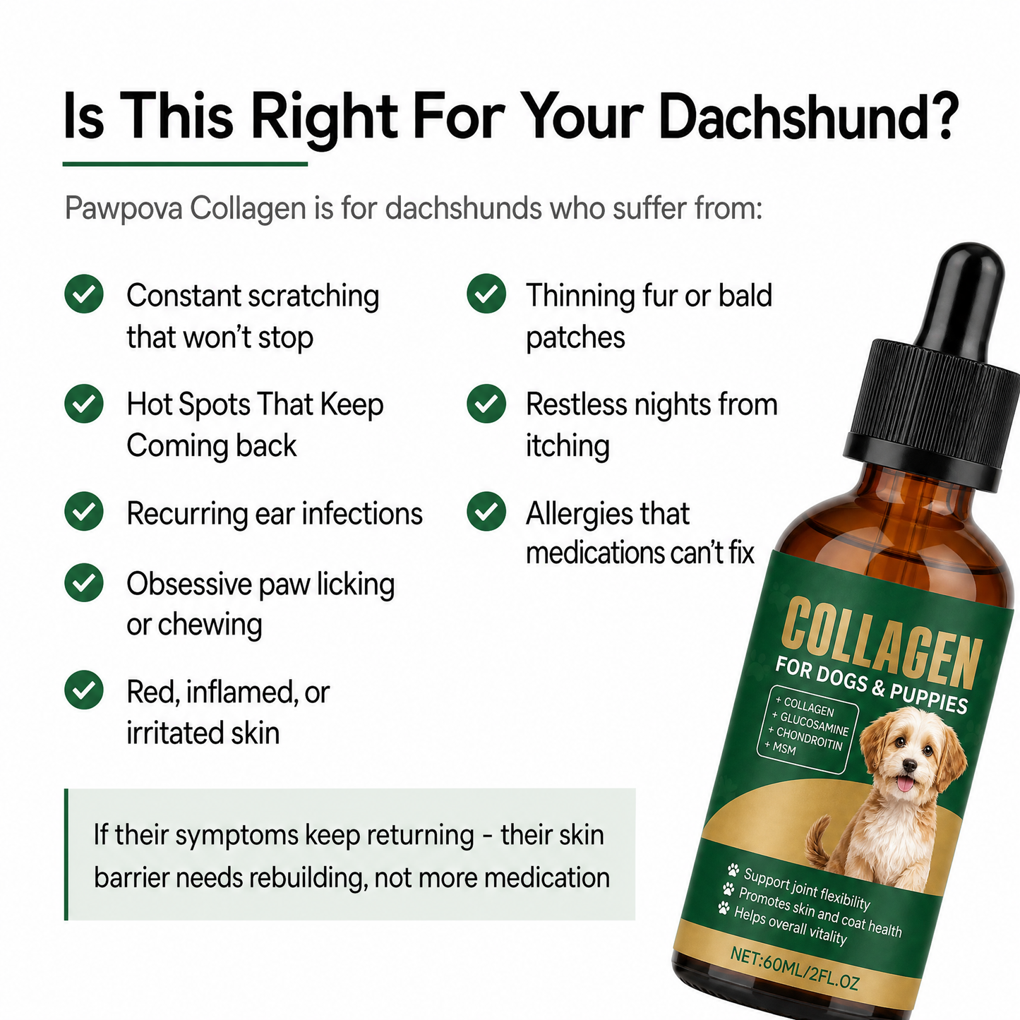 Premium Liquid Collagen for Dachshunds