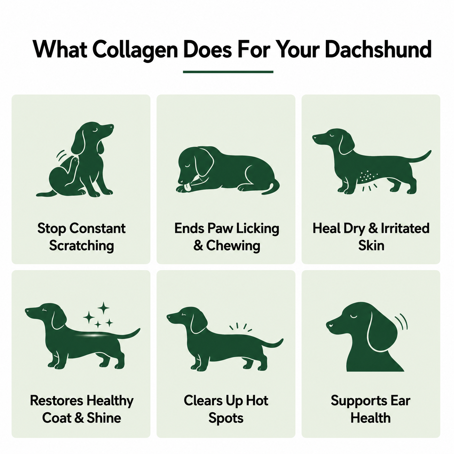Premium Liquid Collagen for Dachshunds